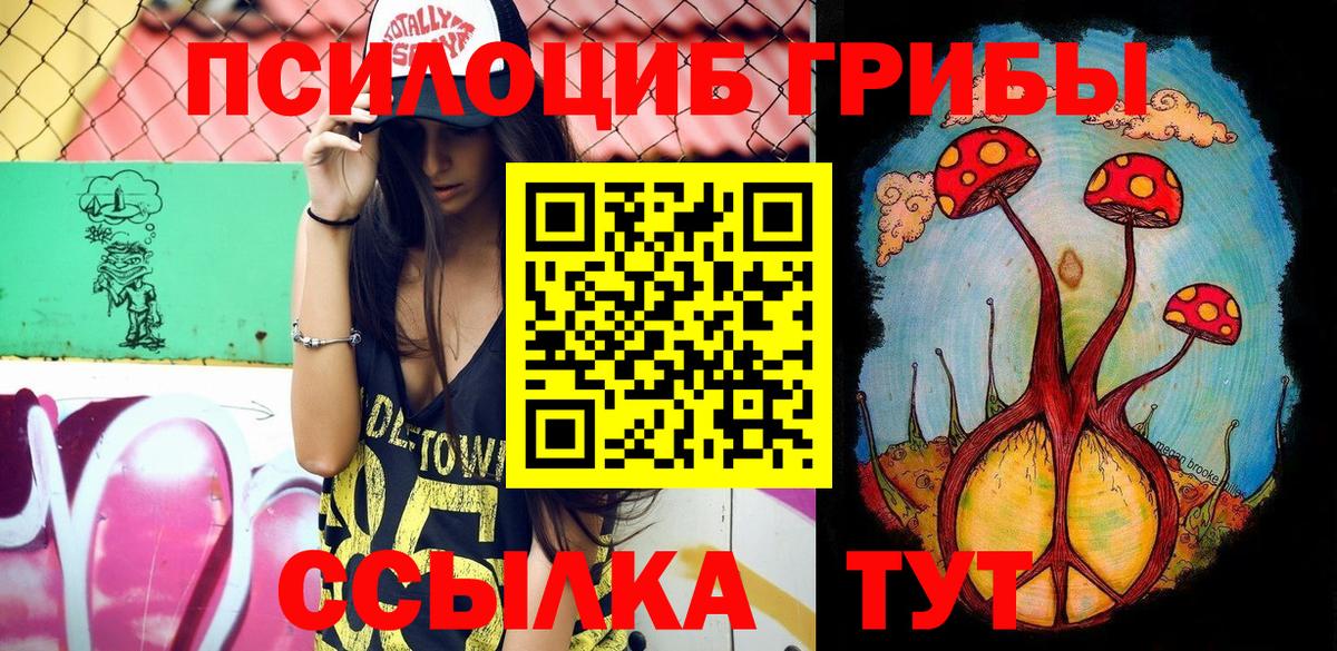 Королёв  Галлюциногенные грибы мицелий  сколько стоит  Вход с VPN 