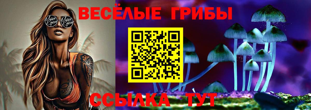 Псилоцибиновые грибы ЛСД Королёв